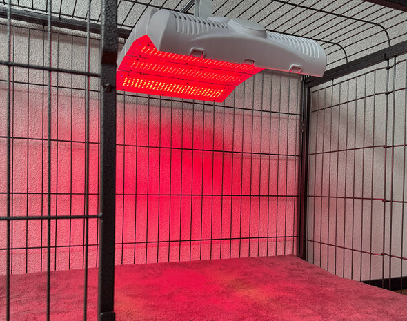 PHOTON 4 HEALTH | REDPOWER® PETS