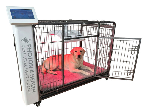 PHOTON 4 HEALTH | REDPOWER® PETS